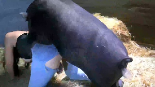 سكس خنازير مع بنات – فيلم سكس حيونات فتاة عاهرة تغش رجلها بحيوان