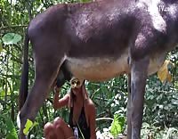 بنت تتناك من حمار – مقطع اباحي جدبد لفتاه تمارس الحب مع حيوان