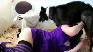 فتاة مقنعة تجعل الكلب سعيدًا من خلال XXX حيوانات فموي بالخلف