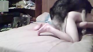 كلب شرس ينيك بنت – فيلم حيوانات بورنو ساخن و قوي علي السرير