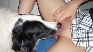 كلب يلحس كس فتاه – فيلم سكس حونات حصري جرو مع بنت