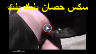 سكس حصان ينيك بنت صاحب الاسطبل فى الاسطبل وتشرب حليبة القحبة