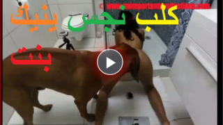 كلب نجس ينيك بنت فى الحمام ويلحس كسها بزبة الصغير ويقذف فى كسها