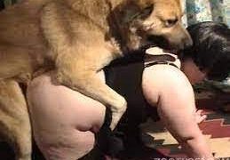 سكس حيوانات 2022 – سيدة سمراء تتناك من الكلب