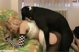 سكس كلاب جديد – الهايجة تتناك من كلبها على الاريكه